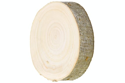 Rogn – Sorbus aucuparia